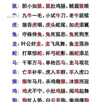 如日中天打一生肖，答案揭晓，究竟是什么动物？