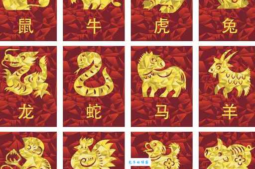 最符合一诺千金的生肖是哪个？揭秘真相