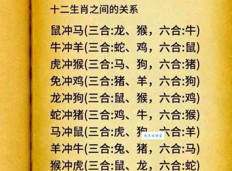 乌合之众对应哪个生肖？揭秘乌合之众的生肖秘密
