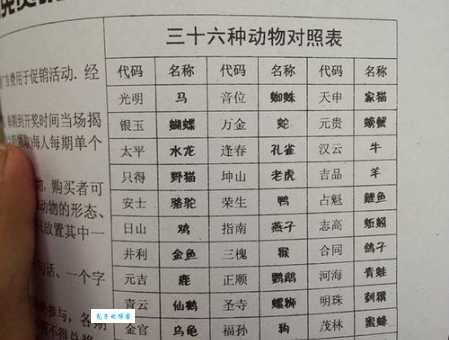 刻鹄不成打一生肖是什么动物？答案揭晓！