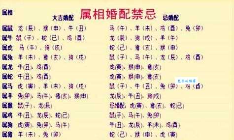 火眼金睛是什么生肖？猴、虎哪个更符合？