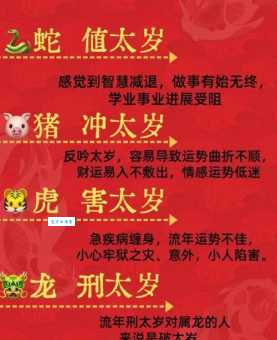 铁石心肠指的是什么生肖？真相令人意外