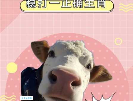 想知道一往无前是哪个生肖吗？这里有答案！