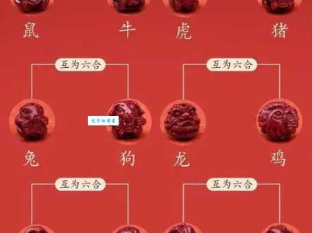 老祖宗说：一家之主，非此生肖莫属！