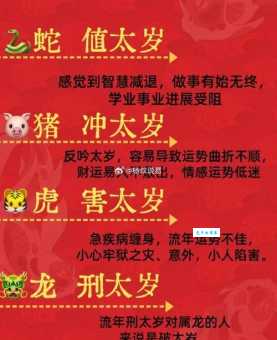 猜一生肖：胆大包天指的是什么生肖？