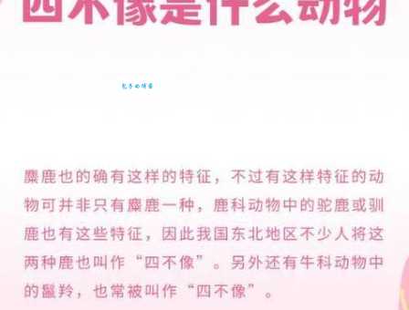 解密三妻四妾：哪些动物符合这种说法？一起来看看