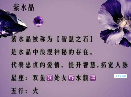 重金兼紫是什么意思及典故？深度解读重金兼紫的象征意义