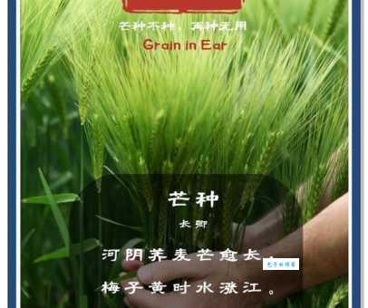 你知道芒种是什么意思和寓意吗？芒种节气深度解读