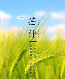 你知道芒种是什么意思和寓意吗？芒种节气深度解读