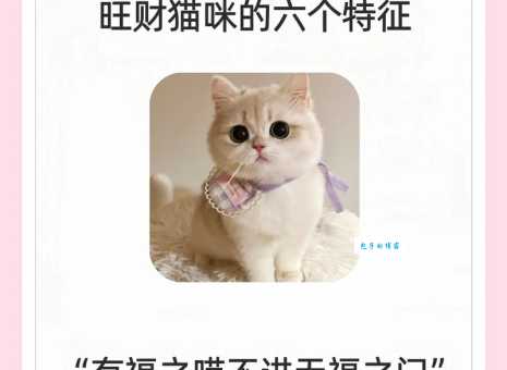 为什么招财猫要举左手？揭秘左手招财猫的秘密