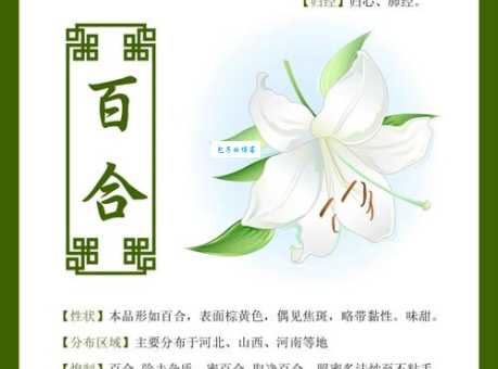 百合是什么意思？植物百合、网络百合及药用百合的全面解析
