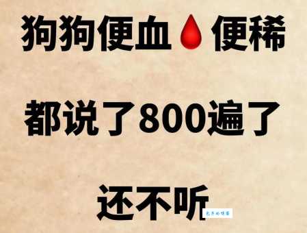 狗血是什么意思？详解狗血的网络流行含义