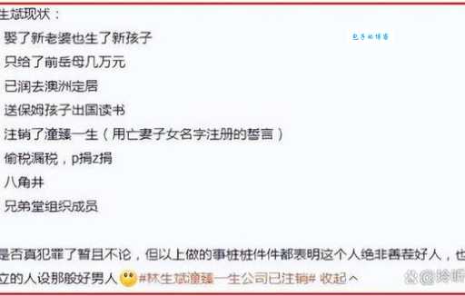 林生斌的潼臻一生：含义解读及争议事件回顾