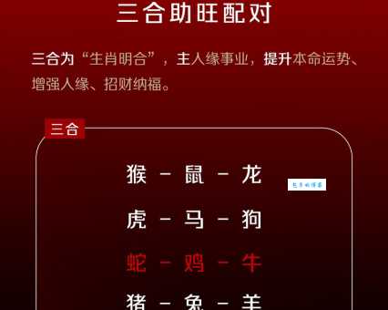 施谋用智是什么生肖？这几个生肖最聪明！