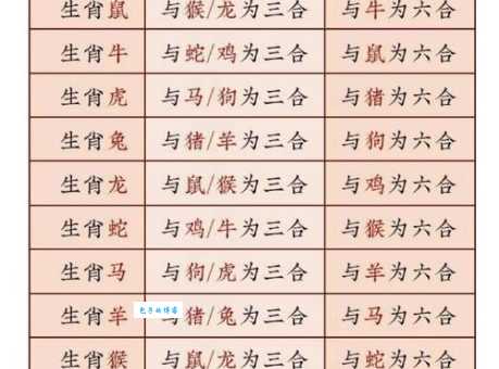蒸蒸日上代表什么生肖？快速找出正确答案
