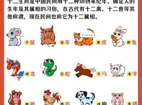 十二生肖中，哪些生肖最孳孳不倦？