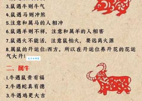 献计献策代表哪些生肖动物？揭秘生肖背后的智慧与策略