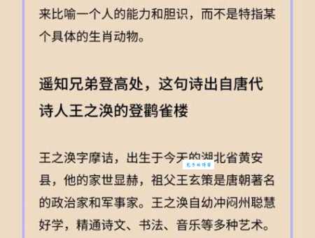 遥知兄弟登高处是什么生肖？诗句谜底大揭秘！