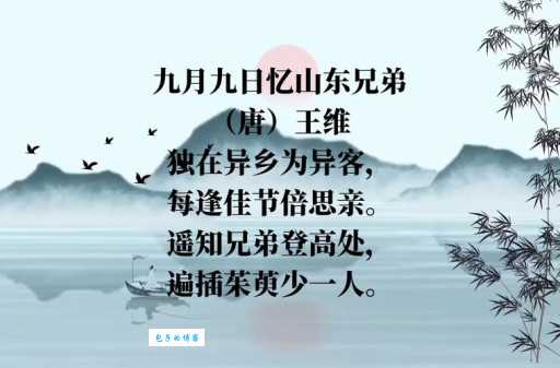 遥知兄弟登高处是什么生肖？诗句谜底大揭秘！