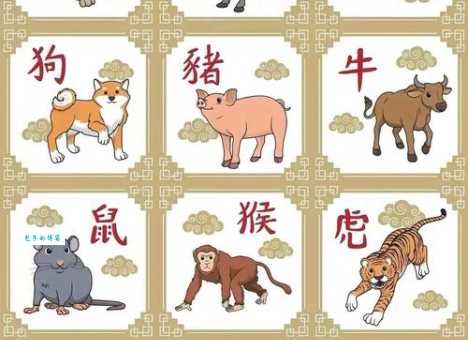 铜筋铁骨指什么生肖？这几个生肖最符合！
