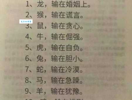 竦然起敬打哪个生肖动物？答案让你意想不到！