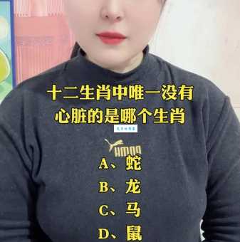 心细如尘是哪个生肖？揭秘最细腻的生肖动物