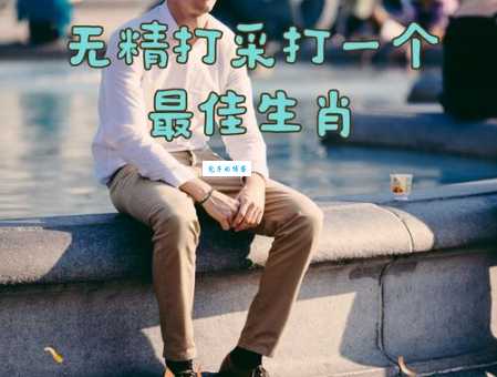 一骑绝尘打哪个生肖？速度与力量的完美结合