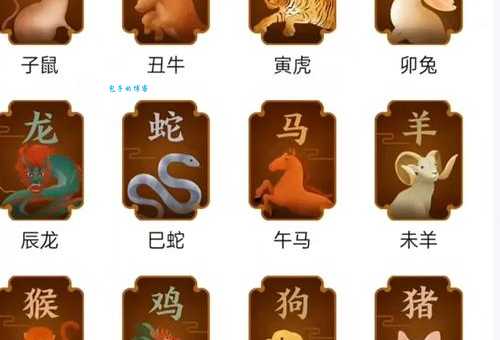 孜孜以求的生肖是哪个？速来揭秘！