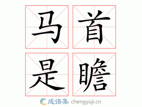 瞻予马首是什么意思及用法？一文读懂成语含义