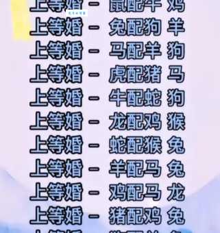 天下一家代表哪个生肖？答案让你意想不到！
