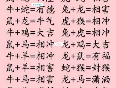喜妻洋洋对应哪个生肖？揭秘十二生肖的喜庆象征