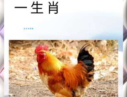 五花八门是指什么生肖？这几个生肖最符合！