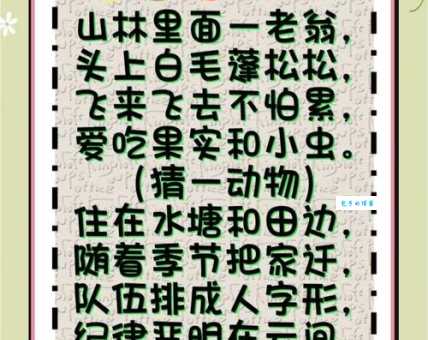 羡君终解古人心谜语答案揭晓：哪个生肖？