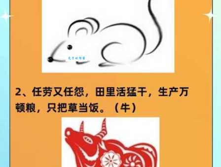 羡君终解古人心谜语答案揭晓：哪个生肖？