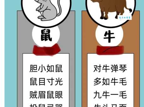 信马由缰代表的生肖是哪个？详解成语背后的生肖寓意