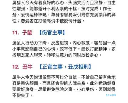 无影无踪是什么生肖？揭秘生肖背后的含义