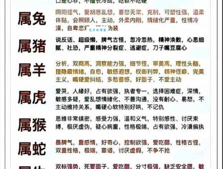 无影无踪是什么生肖？揭秘生肖背后的含义