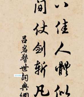 想知道二八佳人是什么意思吗？带你了解其出处和含义