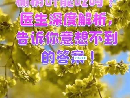 十全十美代表哪个数字？答案让你意想不到！