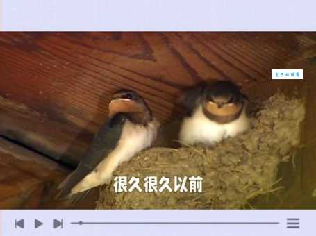 手足相连：形容什么关系？深度解读成语含义