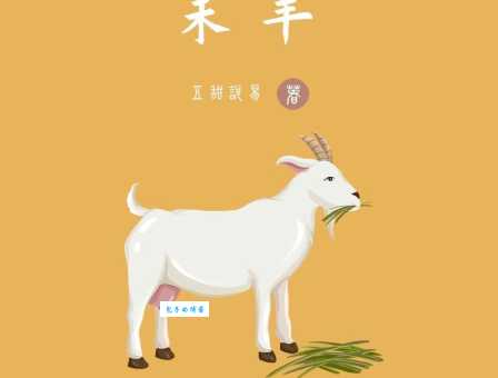 字挟风霜是什么生肖？揭秘隐藏的生肖动物