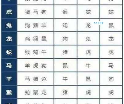 十全十美是哪个生肖？不同说法大比拼！