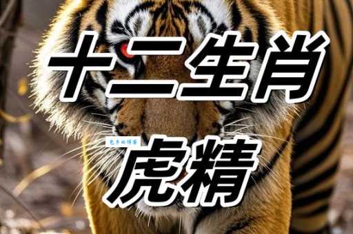 畏之如虎是什么生肖？详解十二生肖动物的含义