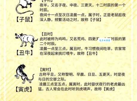 鸦巢生凤代表什么生肖？十二生肖中隐藏的秘密