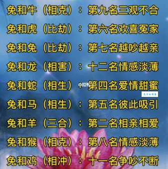天生一对的生肖组合有哪些？看看你的生肖上榜了吗？