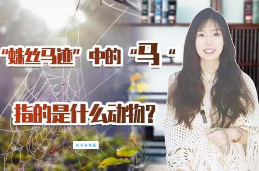 蛛丝马迹中的“马”究竟是什么动物？真相揭秘！