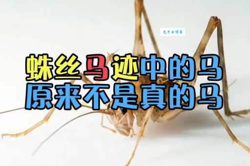 蛛丝马迹中的“马”究竟是什么动物？真相揭秘！