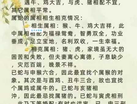 一双两好代表什么生肖？这几个生肖最符合！