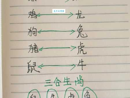 十二生肖中哪个最外强中干？答案或许让你意外