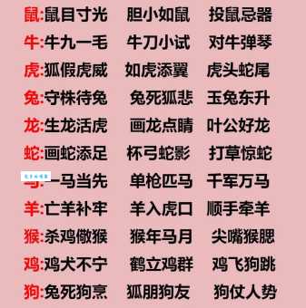趾高气扬的生肖是哪个？详解生肖性格与成语对应